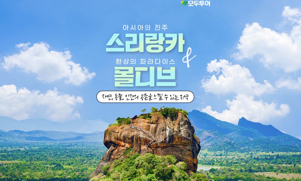 에디터 사진